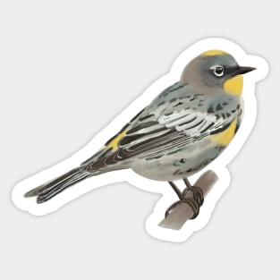 Yellow-Rumped Warbler Digital Painting Sticker